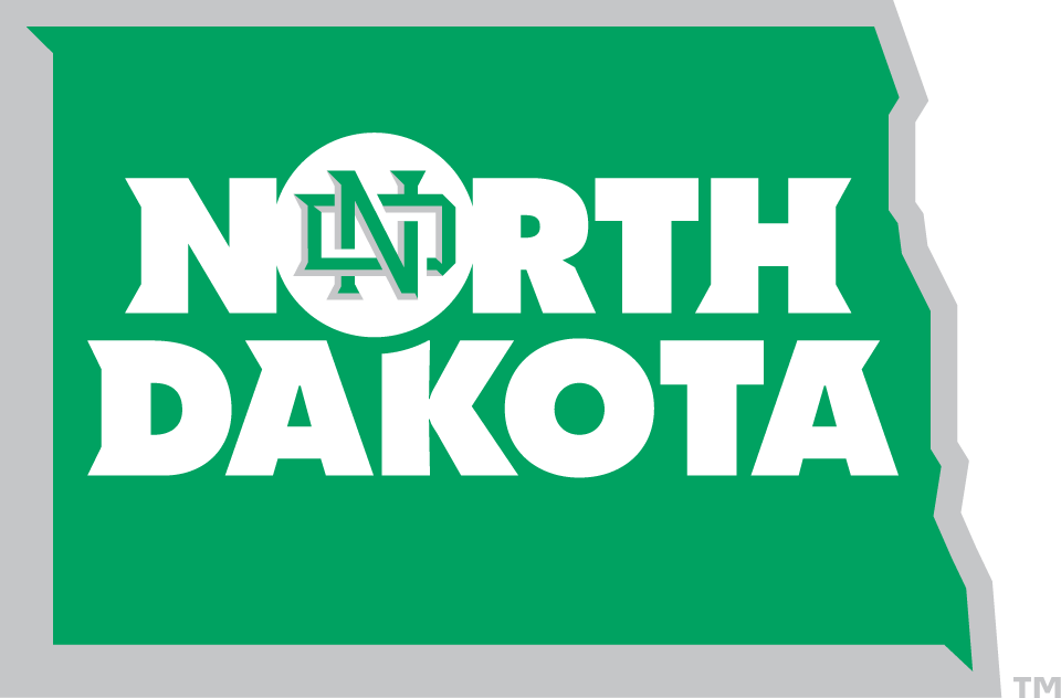 North Dakota Fighting Hawks 2012-2015 Alternate Logo v2 DIY iron on transfer (heat transfer)